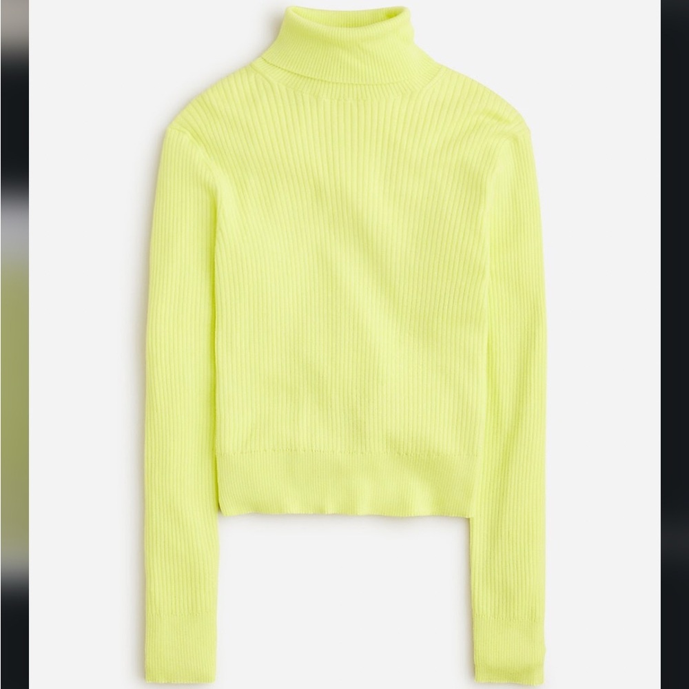 JCrew lyocell blend ribbed turtleneck sweater